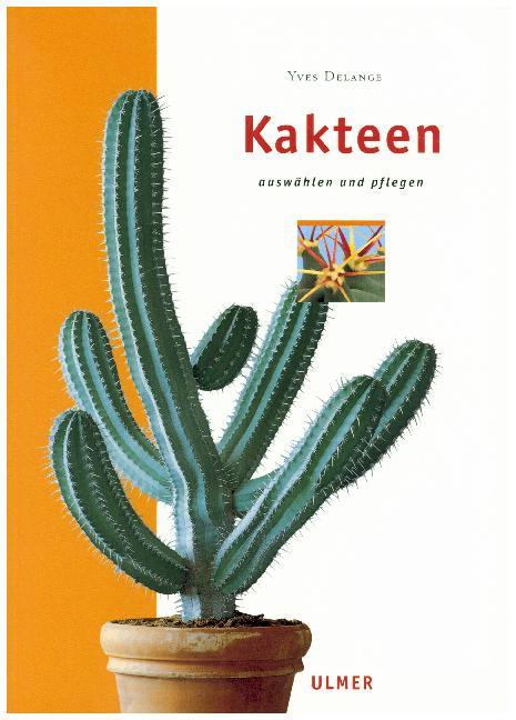Kakteen main product photo