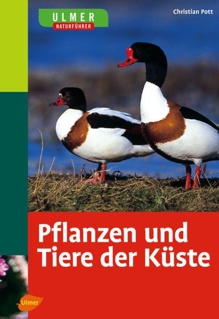 Ulmer Naturführer Pflanzen und Tiere der Küste main product photo