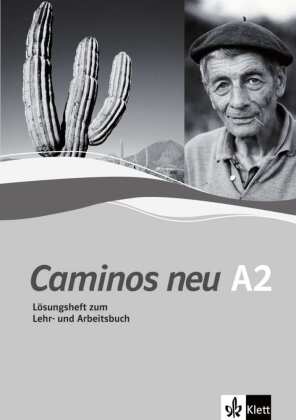 Lösungsheft zum Lehr- und Arbeitsbuch A2
