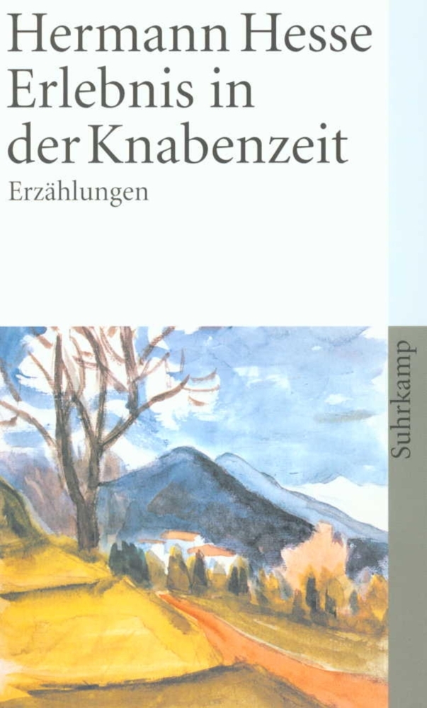 Erlebnis in der Knabenzeit main product photo