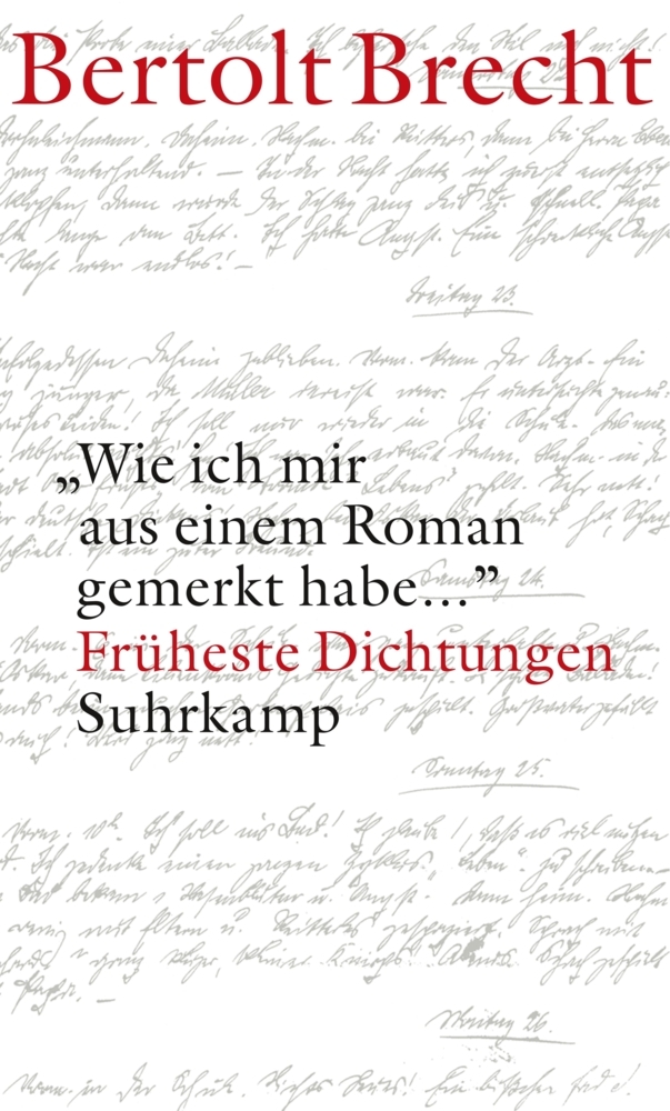 'Wie ich mir aus einem Roman gemerkt habe ...' main product photo