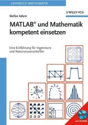 MATLAB und Mathematik kompetent einsetzen, m. CD-ROM
