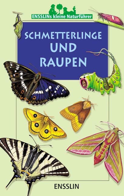 Schmetterlinge und Raupen main product photo