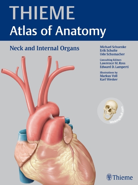 Neck and Internal Organs main product photo