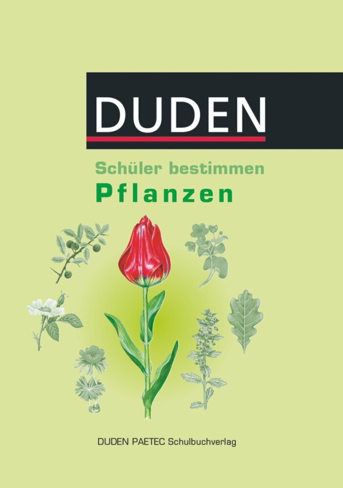 Schüler bestimmen main product photo
