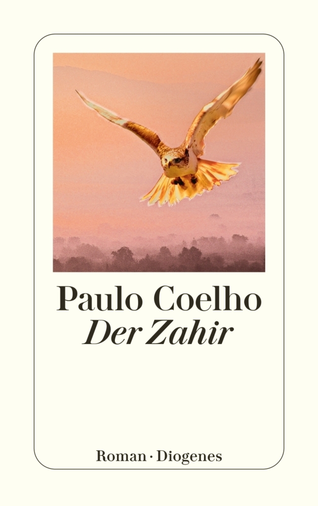 Der Zahir main product photo