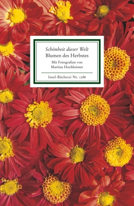 Schönheit dieser Welt. Blumen des Herbstes
