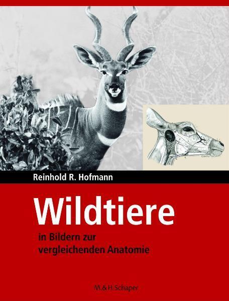 Wildtiere in Bildern zur Vergleichenden Anatome main product photo