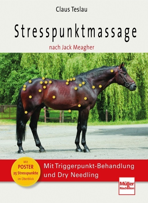 Stresspunktmassage nach Jack Meagher main product photo