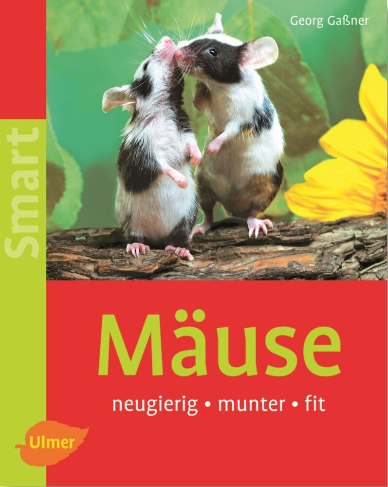 Mäuse main product photo