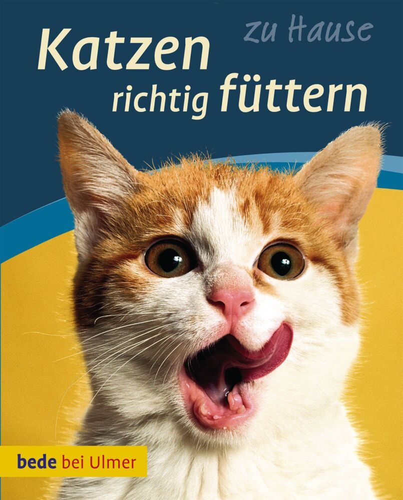 Katzen richtig füttern main product photo