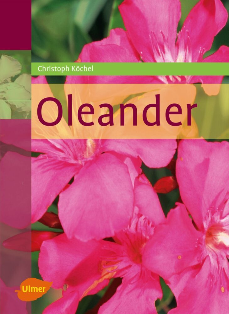 Oleander main product photo