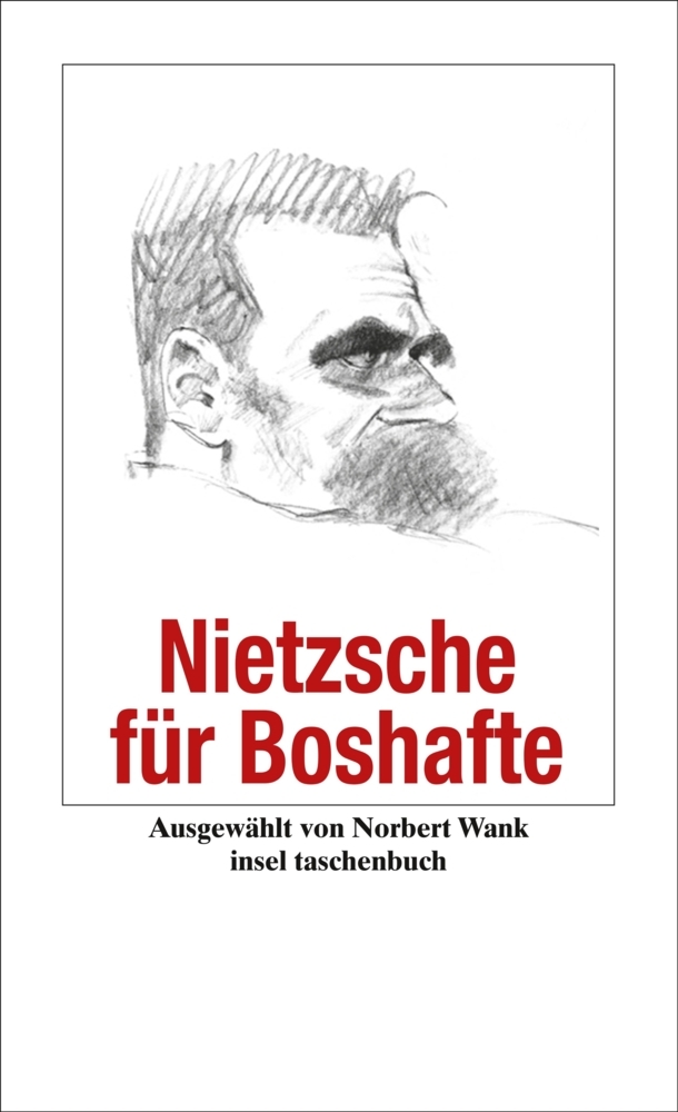Nietzsche für Boshafte main product photo