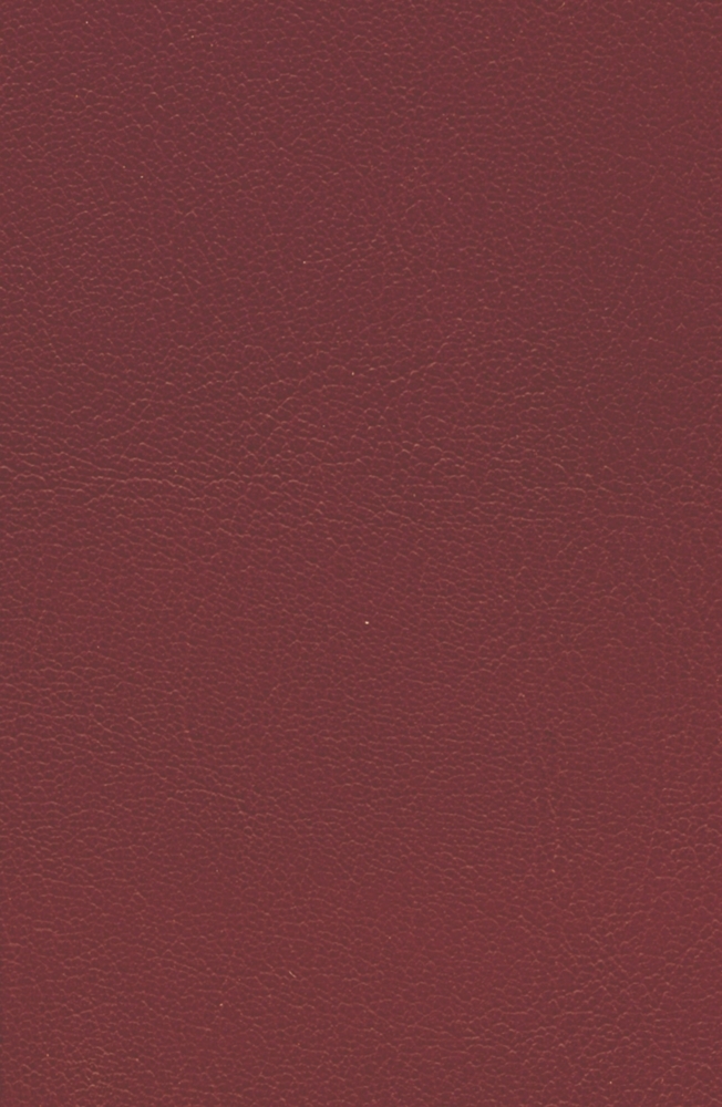 Die Geschichte der Herzogin Anna Amalia Bibliothek main product photo
