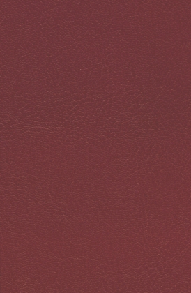 Die Geschichte der Herzogin Anna Amalia Bibliothek