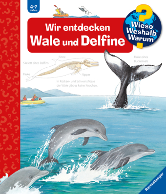 Wieso? Weshalb? Warum?, Band 41 - Wir entdecken Wale und Delfine