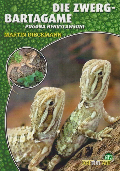 Die Zwergbartagame main product photo