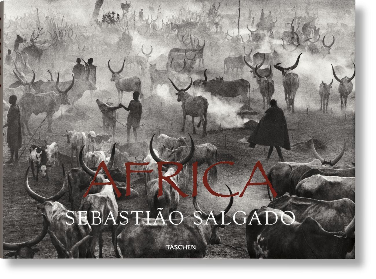 Africa main product photo
