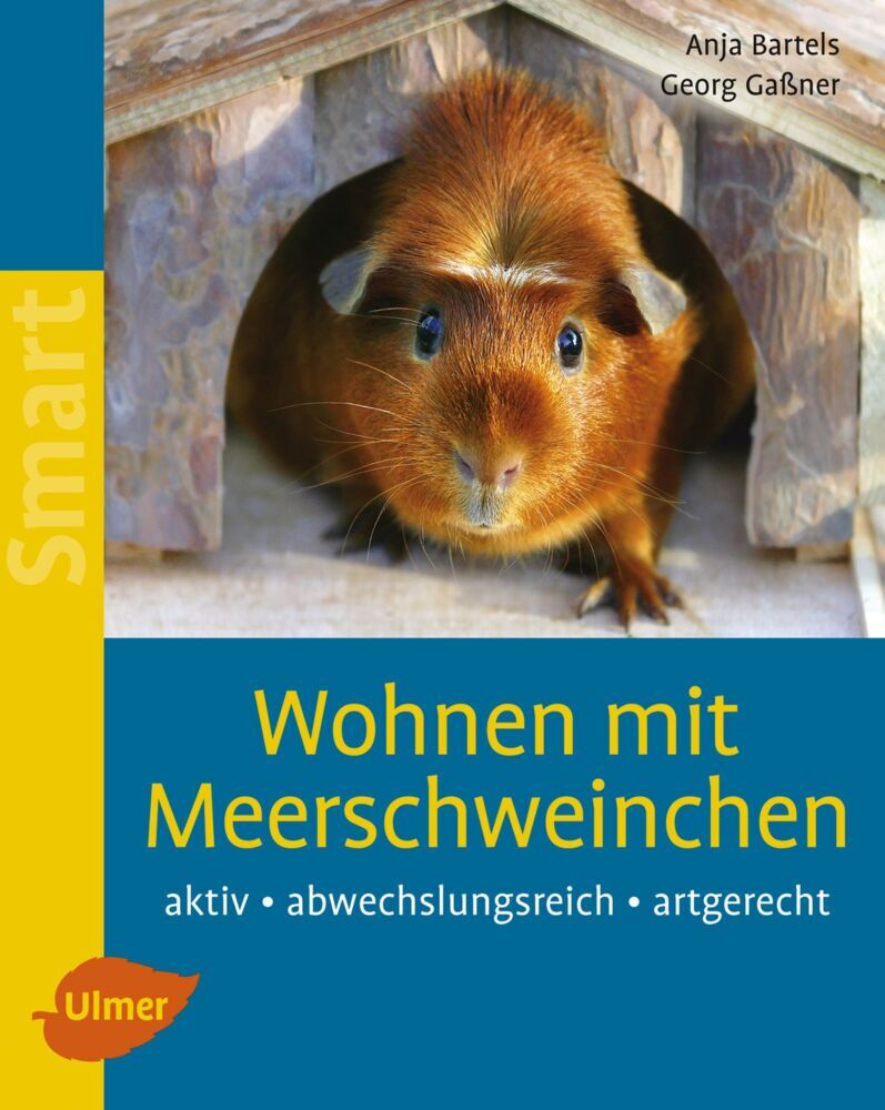 Wohnen mit Meerschweinchen main product photo