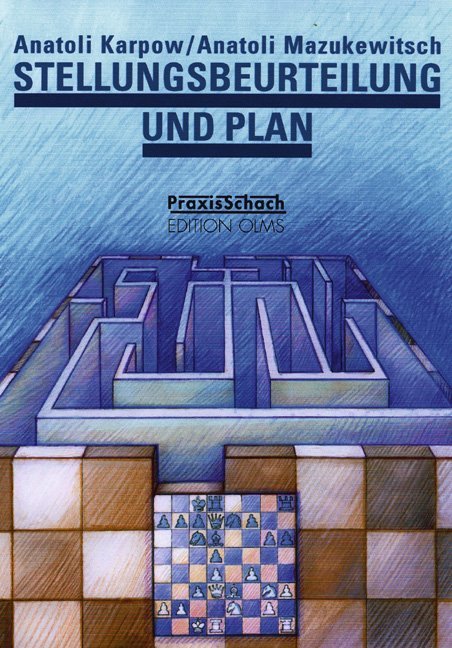 Stellungsbeurteilung und Plan main product photo
