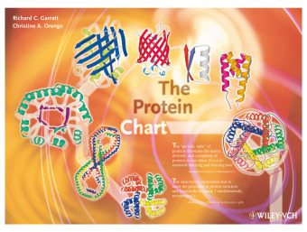 The Protein Chart, Folding plate