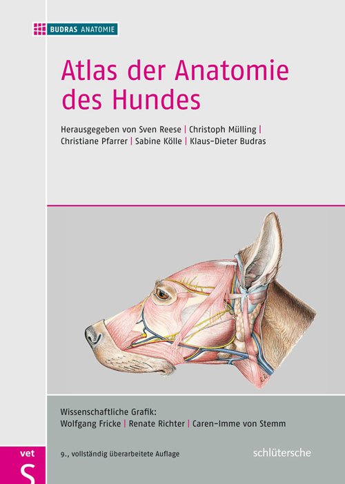 Atlas der Anatomie des Hundes main product photo