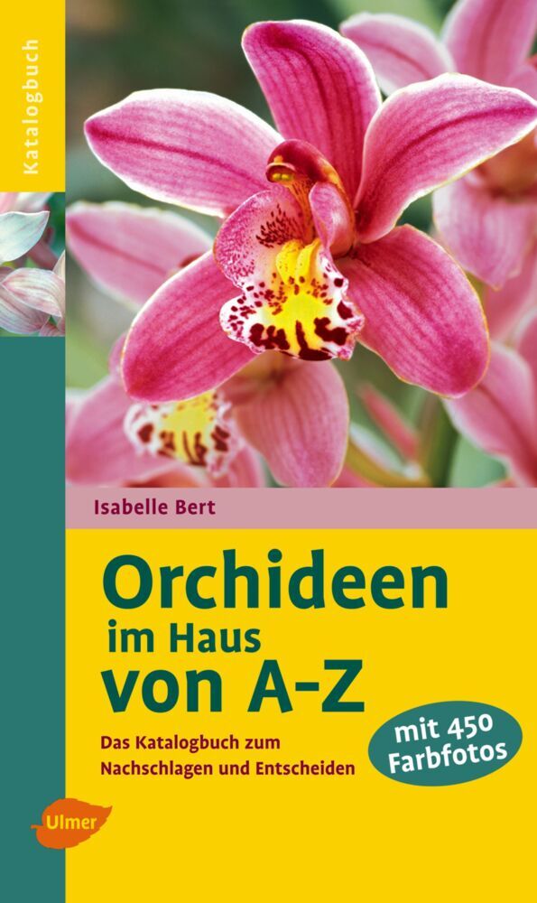 Orchideen im Haus von A-Z main product photo