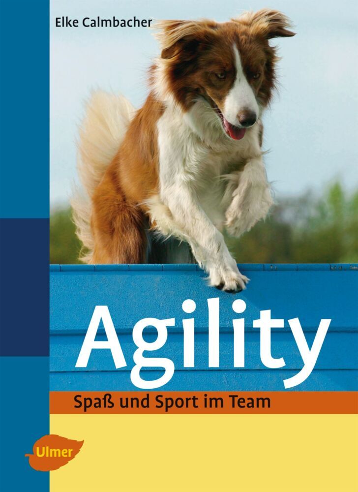 Agility main product photo