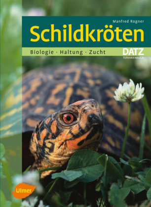 Schildkröten main product photo