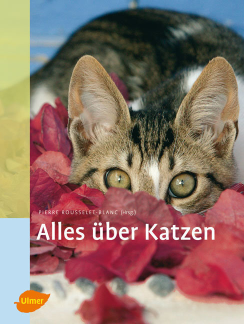 Alles über Katzen main product photo