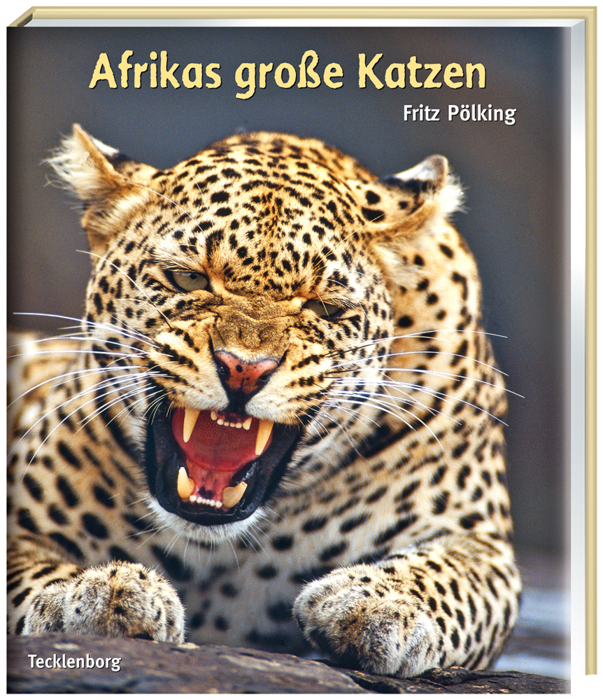 Afrikas grosse Katzen main product photo