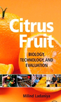 Citrus Fruit