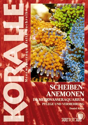 Scheibenanemonen im Meerwasseraquarium main product photo