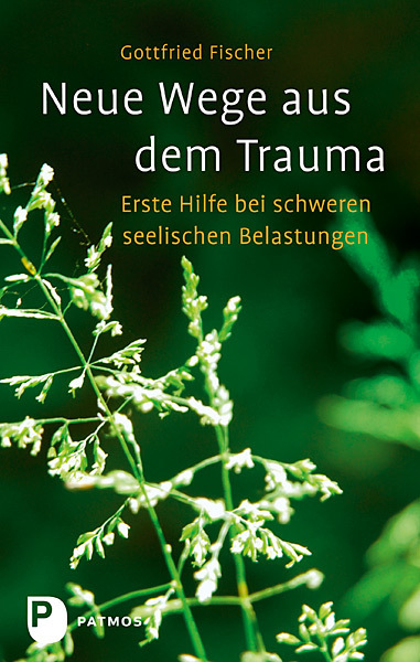 Neue Wege aus dem Trauma main product photo