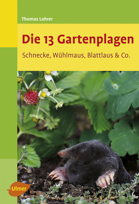 Die 13 Gartenplagen main product photo