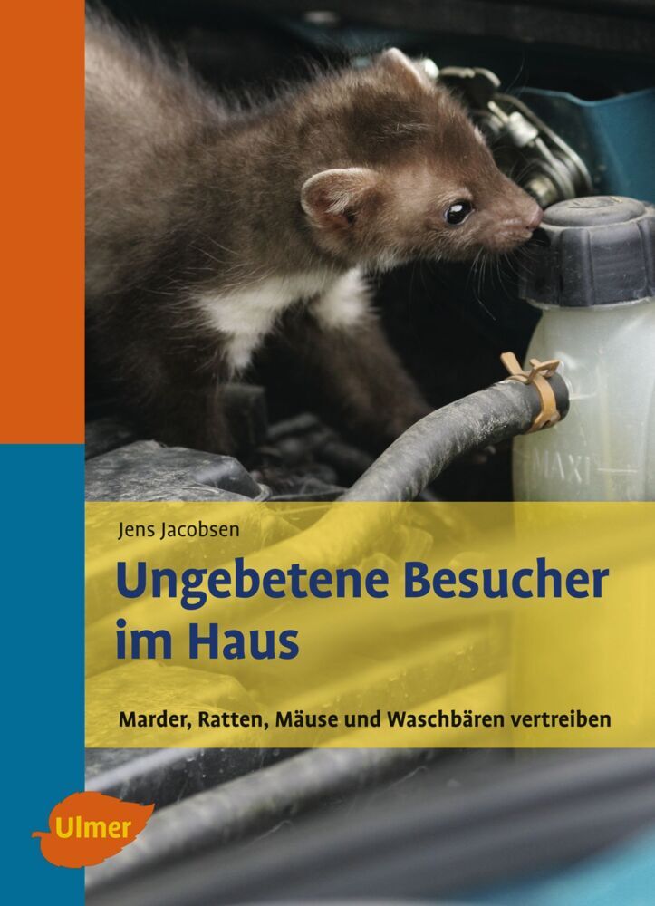 Ungebetene Besucher im Haus main product photo