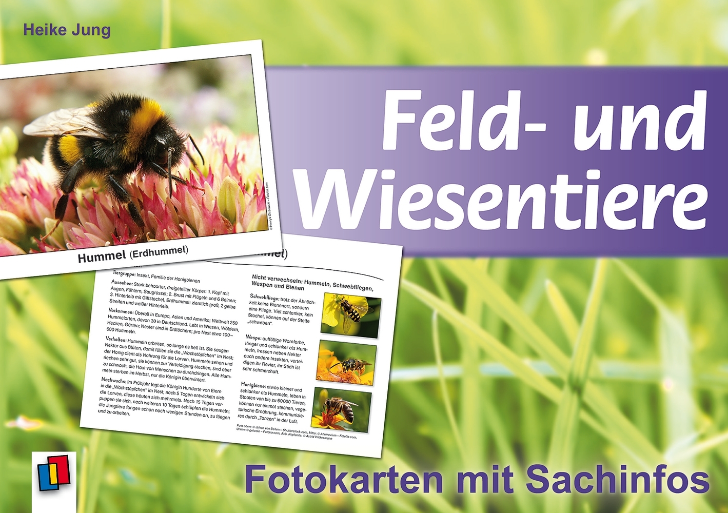 Feld- und Wiesentiere main product photo