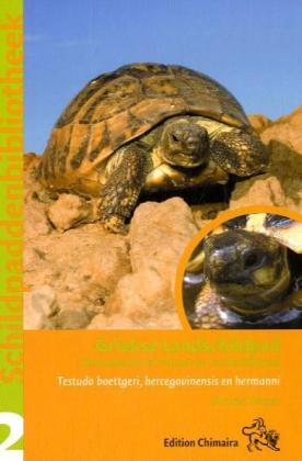 Griekse Landschildpad main product photo
