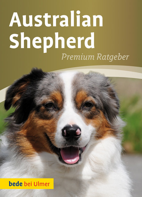 Australian Shepherd main product photo