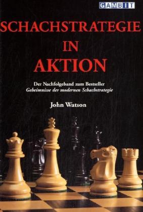 Schachstrategie in Aktion