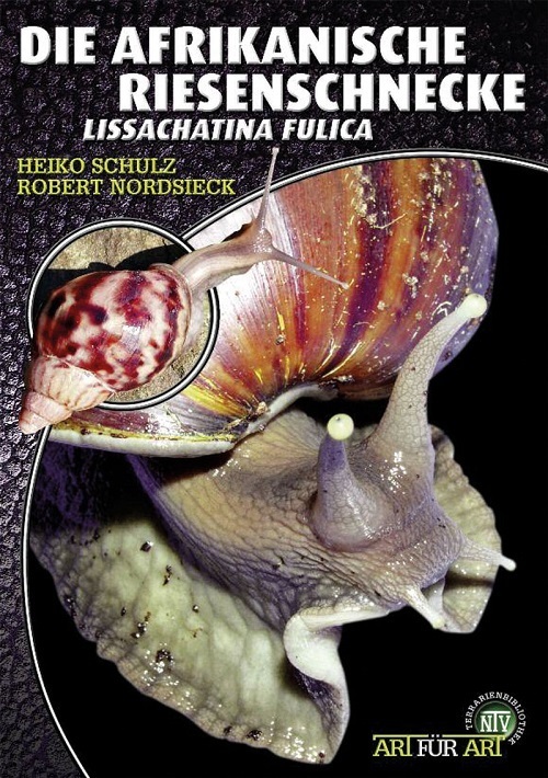 Die Afrikanische Riesenschnecke main product photo