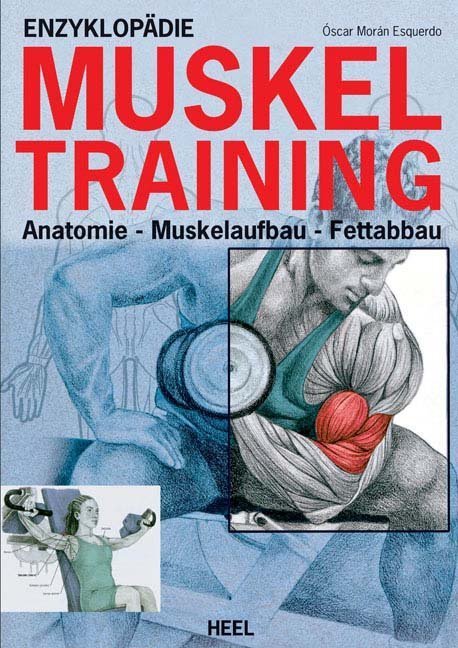 Enzyklopädie Muskeltraining main product photo