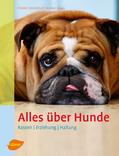 Alles über Hunde main product photo