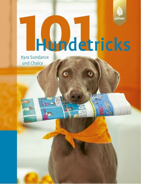 101 Hundetricks main product photo