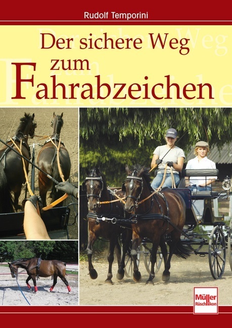 Der sichere Weg zum Fahrabzeichen main product photo