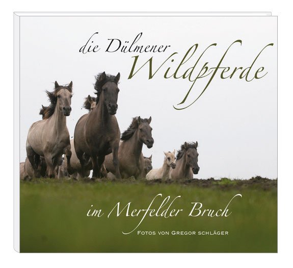 Die Dülmener Wildpferde im Merfelder Bruch main product photo