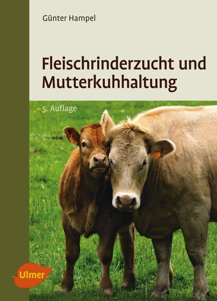 Fleischrinderzucht und Mutterkuhhaltung main product photo