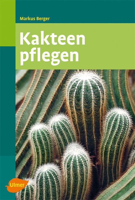 Kakteen pflegen main product photo