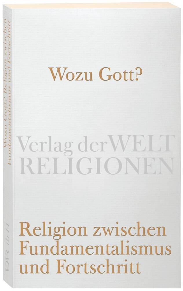 Wozu Gott? Religion zwischen Fundamentalismus und Fortschritt main product photo
