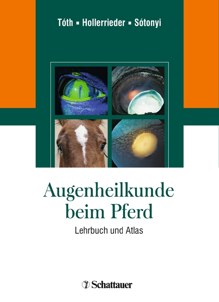 Augenheilkunde beim Pferd main product photo